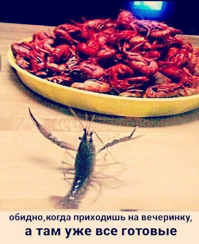 Картинки для деградации 121 (разной степени свежести)