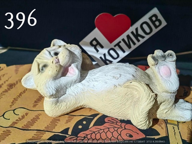 Жизнь домашнего приюта "Котоленд" 541