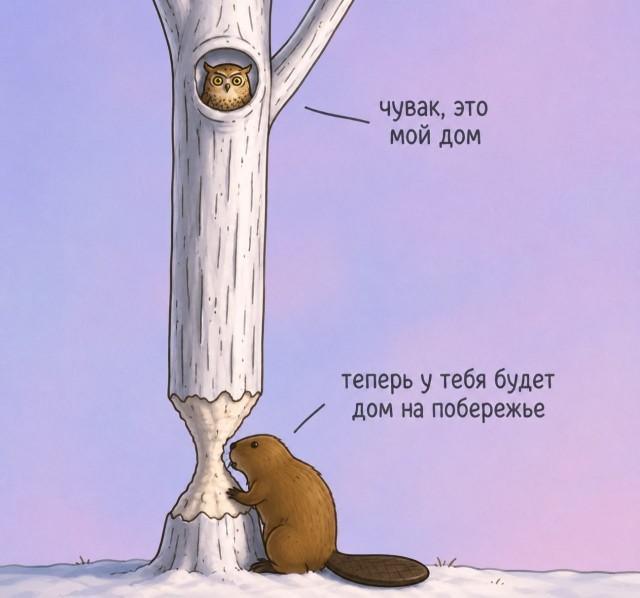 Картинки для деградации 225 (разной степени свежести)