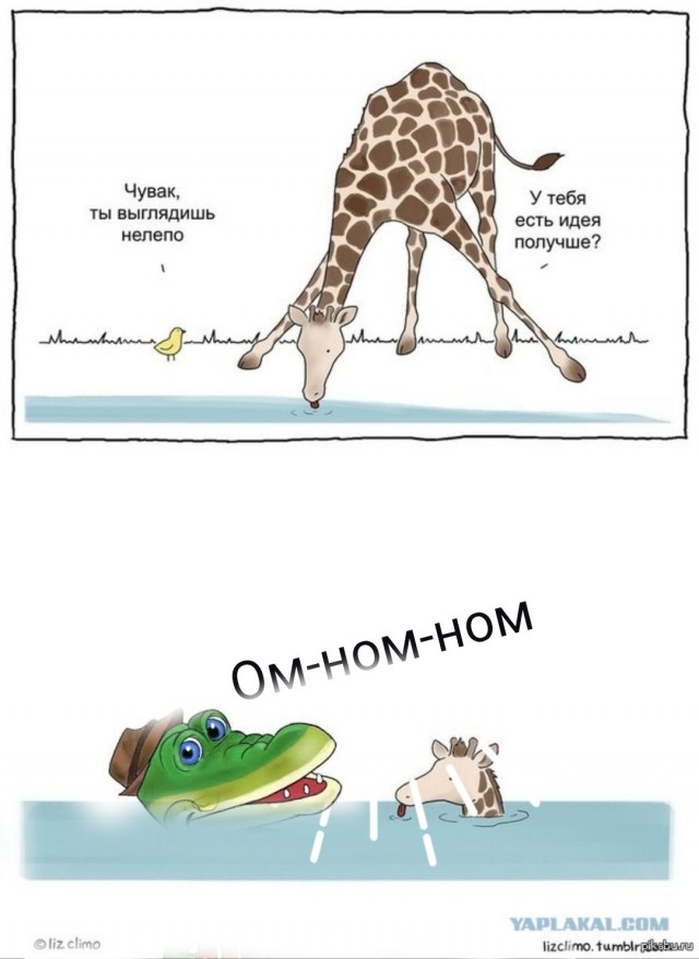 Жираф: Шея нужна не для верхушек деревьев. Правда куда более жесткая