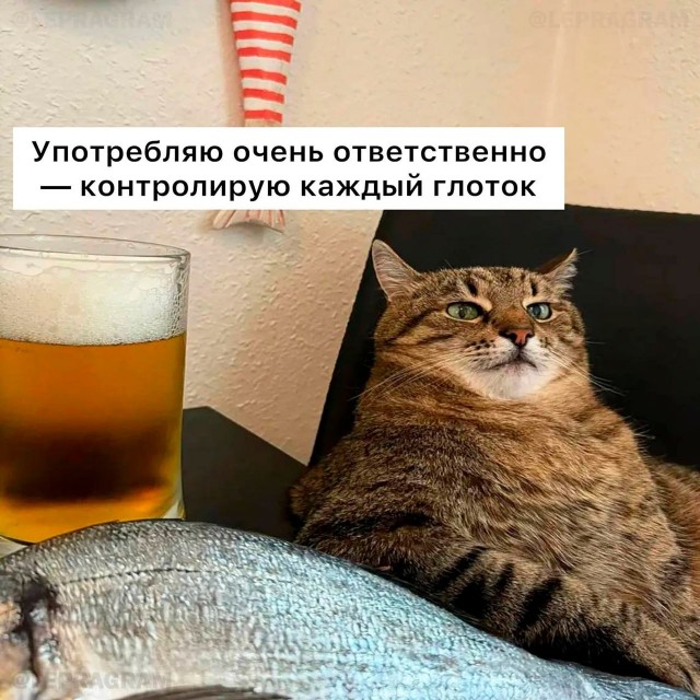 Сегодня отмечается День ответственного потребления пива