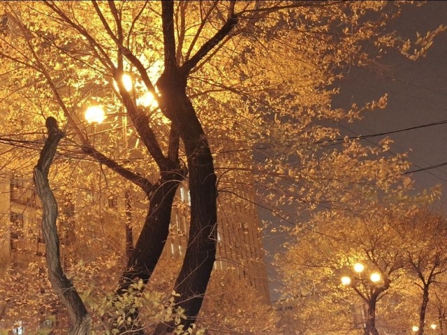Все краски осени