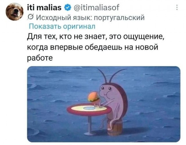 Картинки для деградации 300
