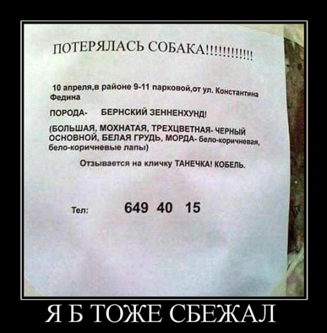 Смешные комментарии из социальных сетей