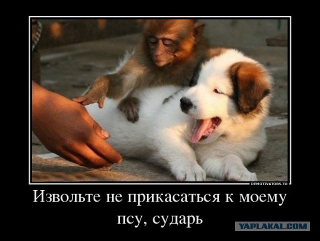 Картинки на Воскресенье, ассорти.