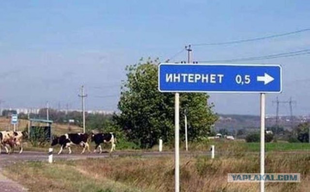 Поисковик Спутник запущен.