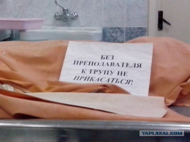 Смешные картинки с подписями 2
