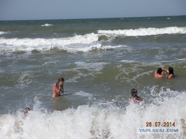 Азовское море. Тиздар