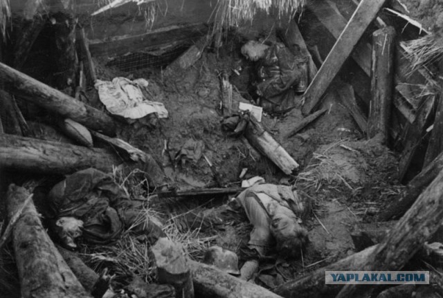 Фотографии войны 1941-1945 годов