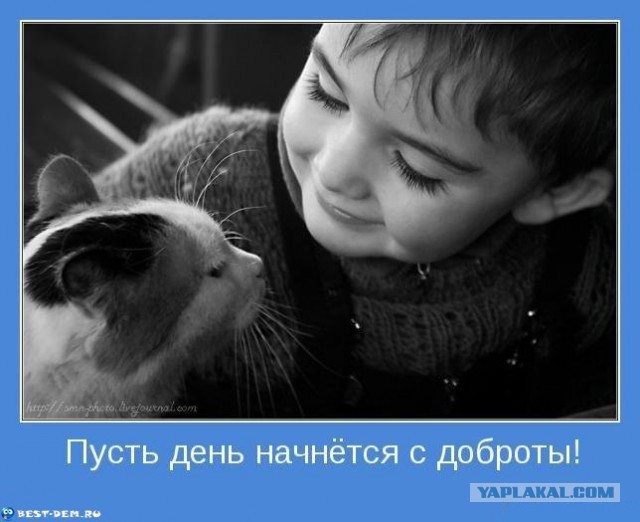 Притча «Настоящий друг»