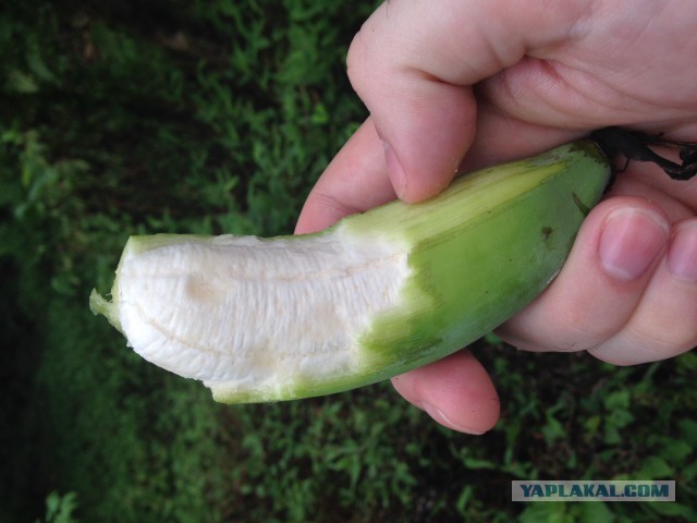 Как выглядят 19 популярных продукта