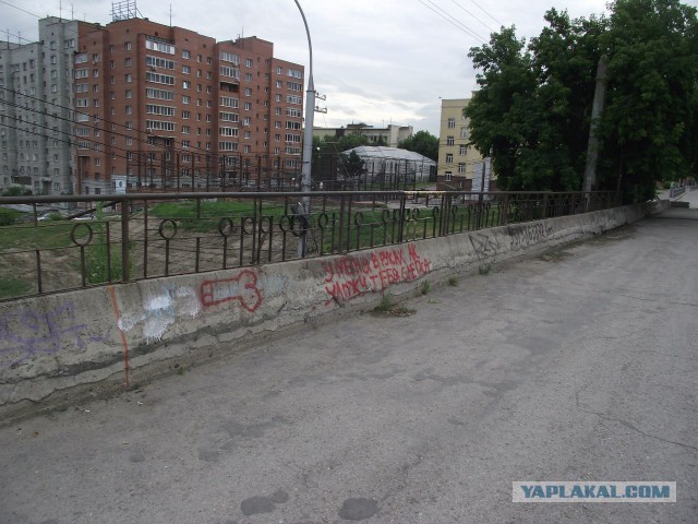 Дорога в 5500 км автостопом на Алтай.