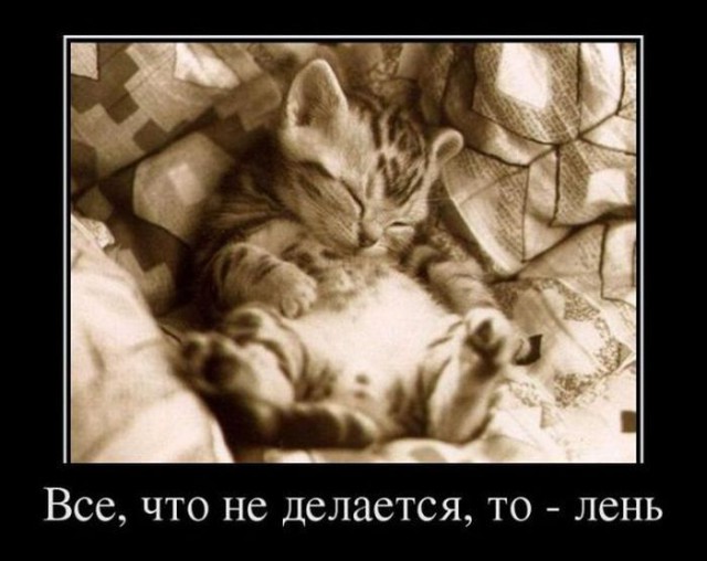Демотиваторы на субботу