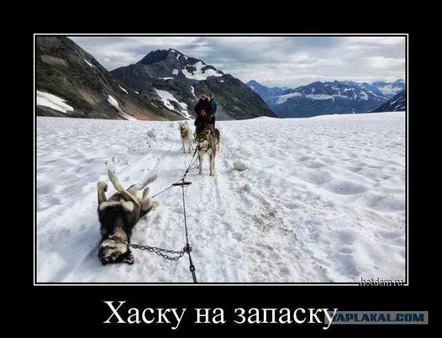 Демотиваторы на субботу