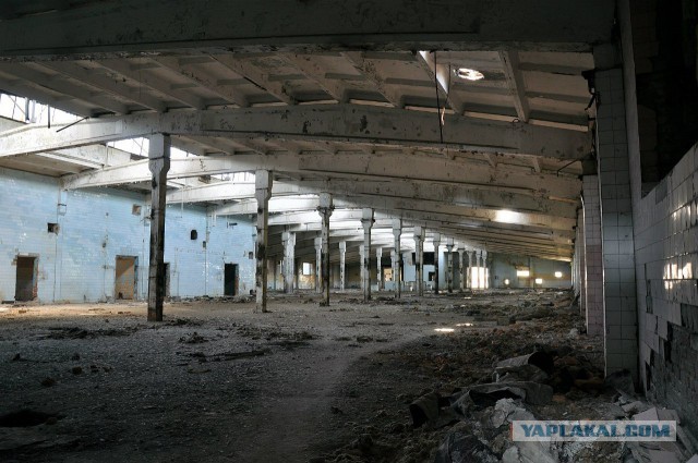 Семикаракорский консервный завод