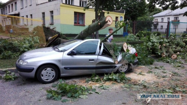 Тачки разбитые ураганом в Минске сегодня. Оригинальные отборные фото!