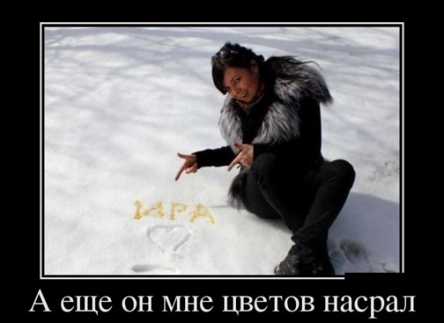 Весёлые картинки
