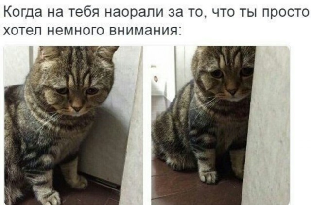 Подборка интересных и веселых картинок