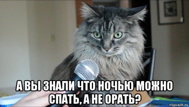 Мифы, в которые мы верим благодаря Голливуду