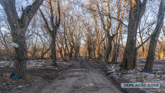 Долгопрудный (фото)
