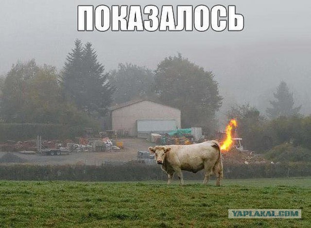 Картинки. Интересные, старые и не очень
