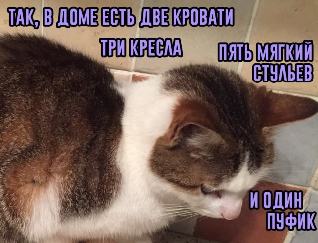 Прочь мандиблы!