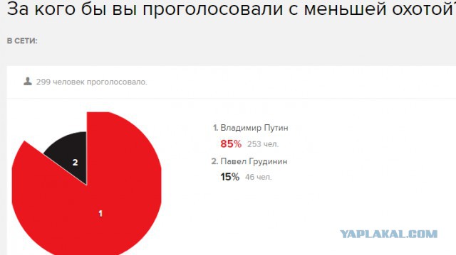 Выборы-2018. Кого выберет ЯП? Опрос