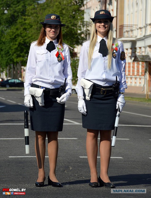 Новости из зоопарка поздравление от курицы