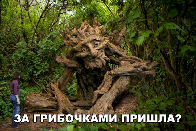 Нестандартный юмор