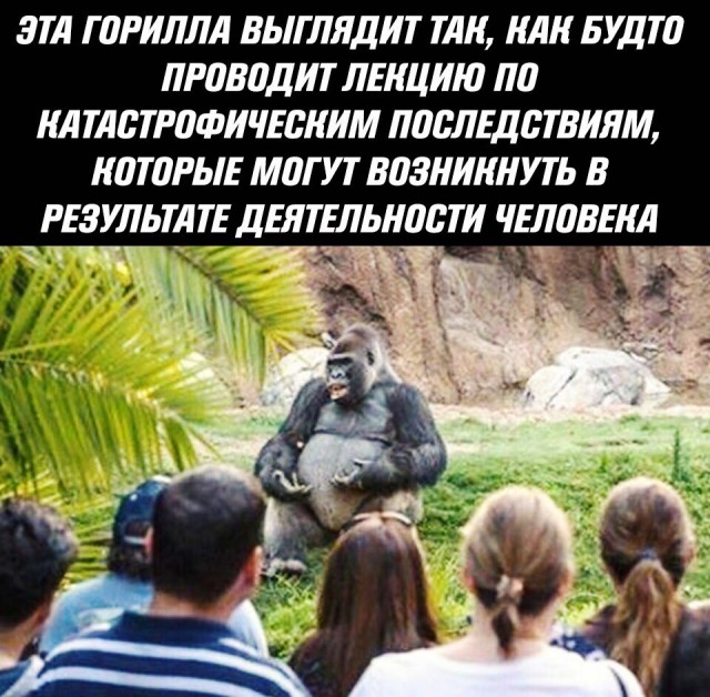 Немного странного юмора на вечер