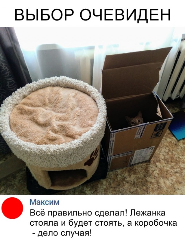 Прикольные картинки абавсём