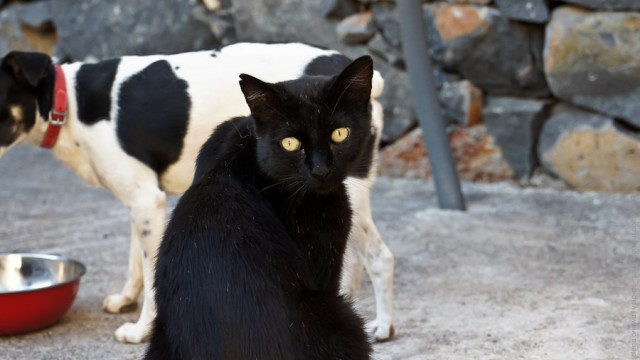 Один мой день. Самый первый!