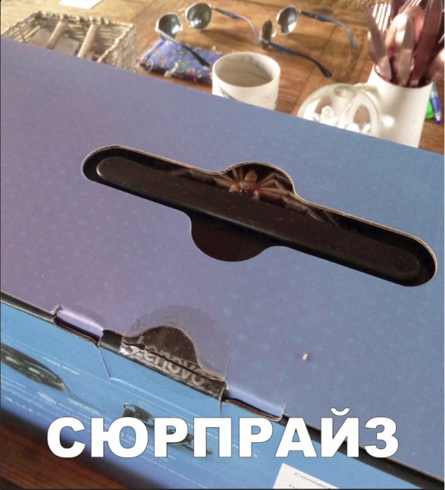 Нестандартный юмор
