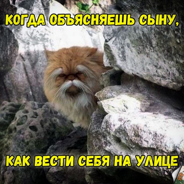 Нестандартный юмор