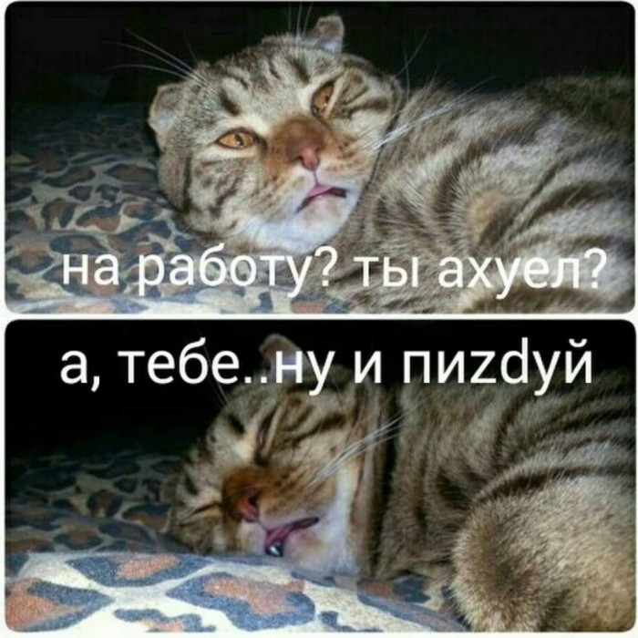 Бредзона