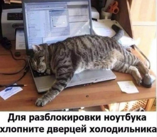 Алкопост! В картинках