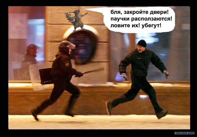 Фотожаба: Ну Погоди!