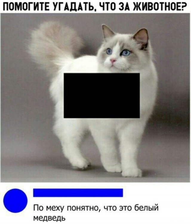 Картинки обо всëм. 07.01.20
