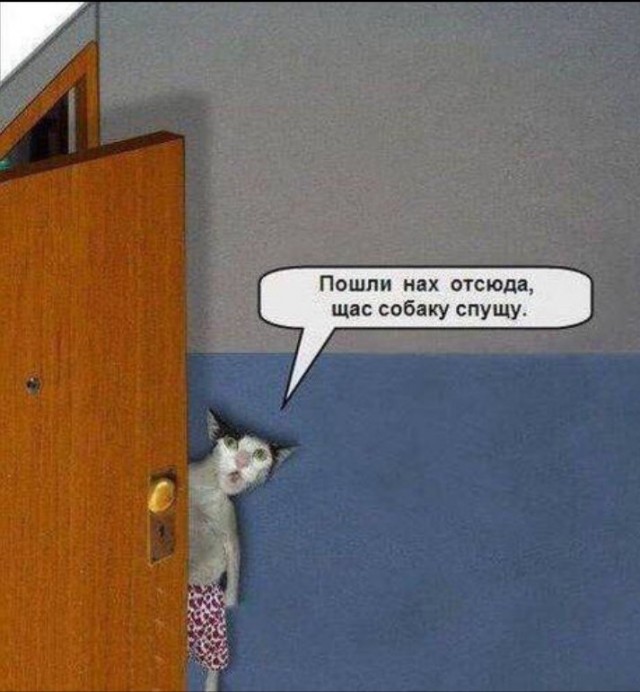 Какие носки вы носите, такой у вас и характер