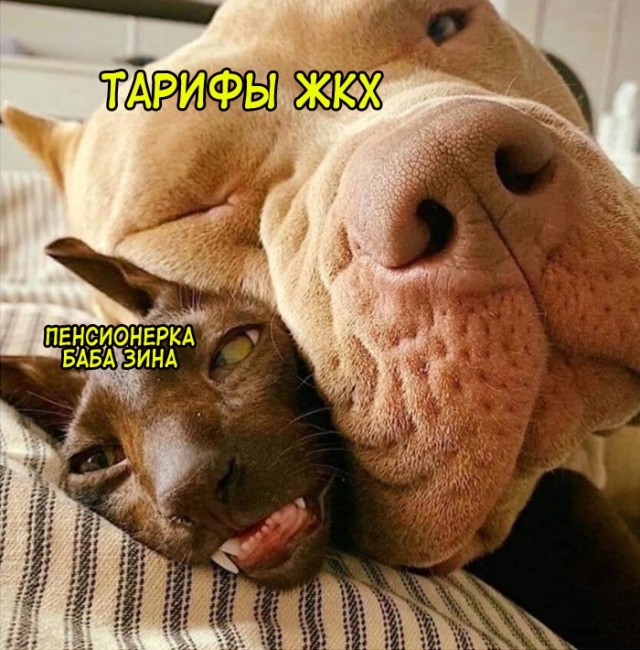 Весёлый полтишок 18.02