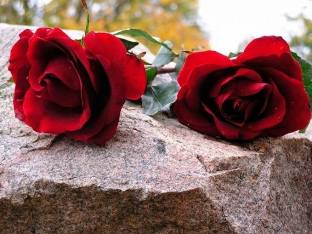 «Королева Нюрбургринга» Сабина Шмитц скончалась на 52-м году жизни