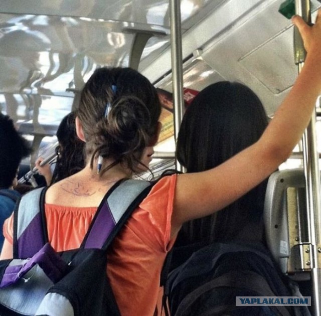15 глупых поступков, последствия которых можно было легко предвидеть