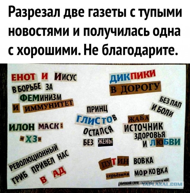 Свинегрет: картинки, надписи и прочее на 06,07.202 или №31