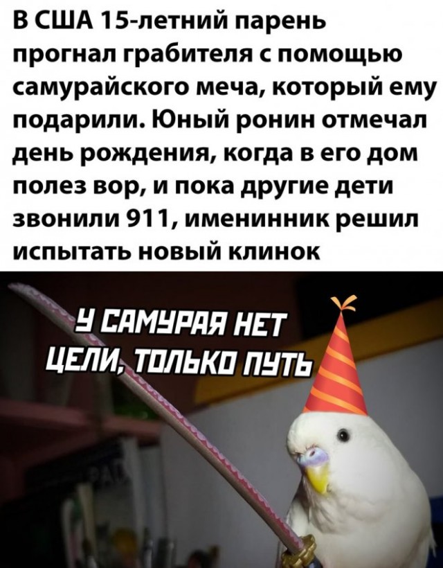 Картинки и мемы для настроения 15.07.2021