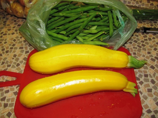 Пятничные посиделки на теплотрассе ©