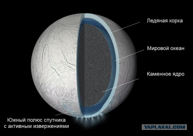 Почему динозавры достигали таких крупных размеров