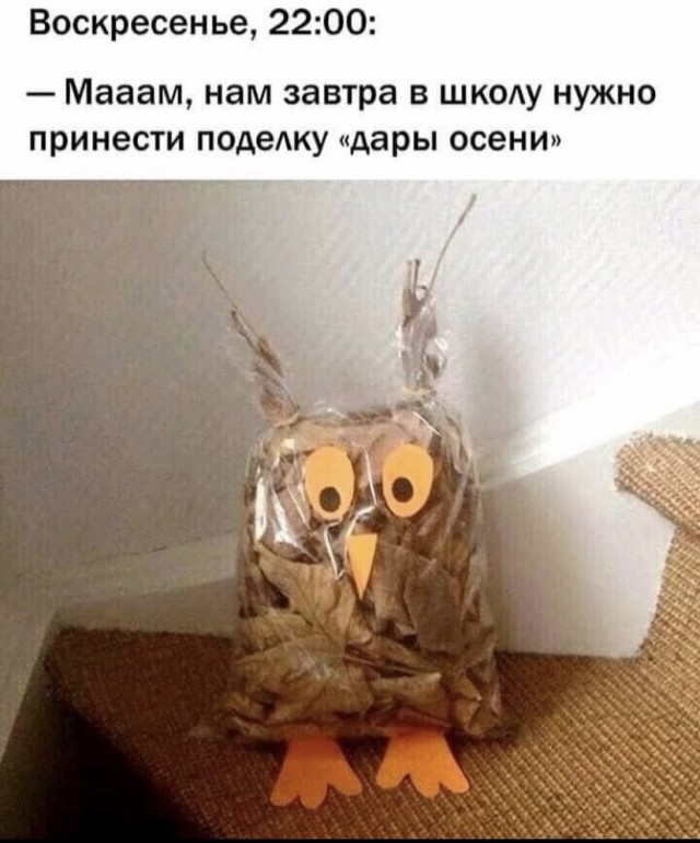 Картинки и мемы для настроения 23.09.2021