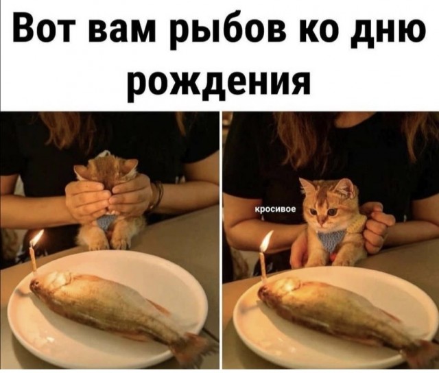 Так себе картинки 07.10.21