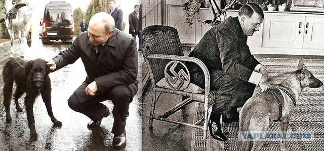 А мне интересно чем это все закончится