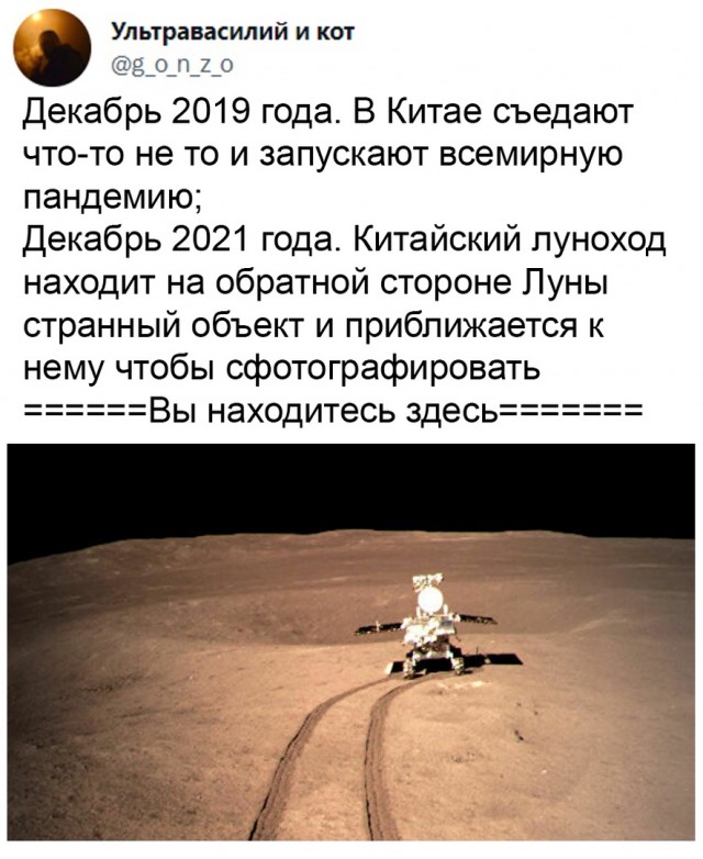 Чуток картинок 09.12.21